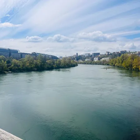 Lyon Cite Internationale - Cinema 4k - Parc Tete Dor