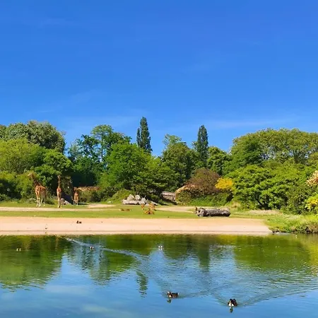 Lyon Cite Internationale - Cinema 4k - Parc Tete Dor